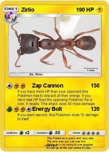 Pokemon Zirlio