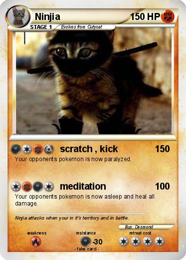 Pokemon Ninjia
