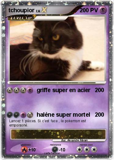 Pokemon tchoupior