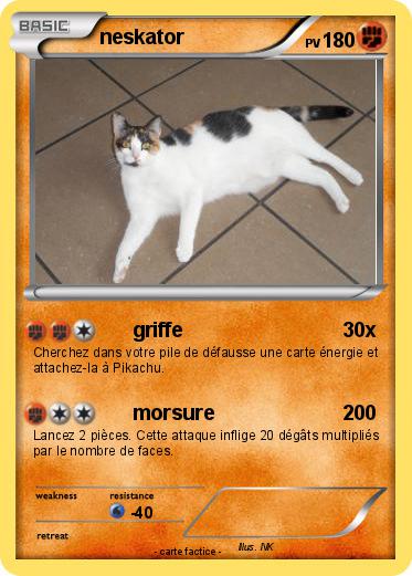 Pokemon neskator
