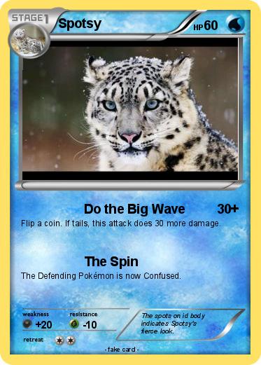 Pokemon Spotsy