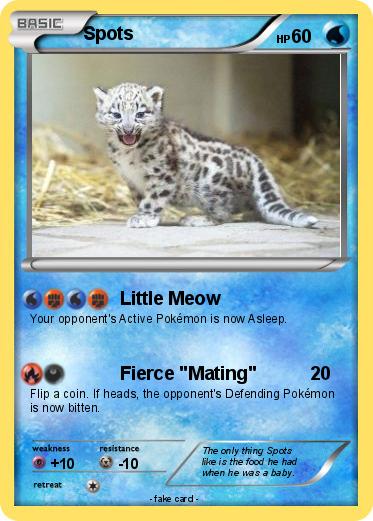 Pokemon Spots
