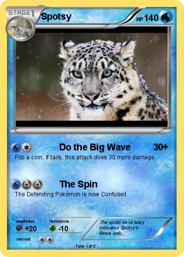 Pokemon Spotsy