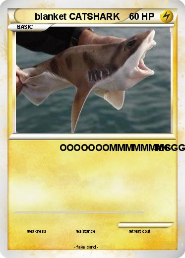 Pokemon blanket CATSHARK