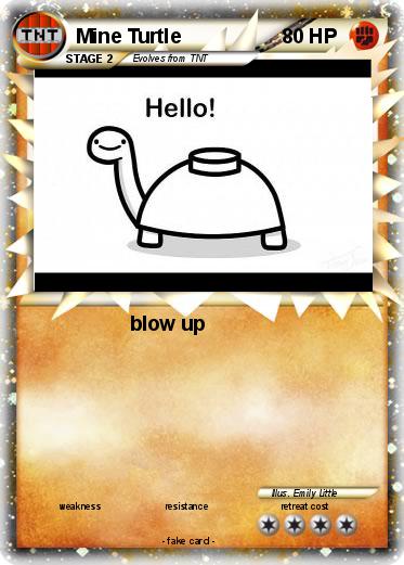 Pokemon Mine Turtle