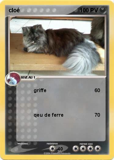 Pokemon cloé            