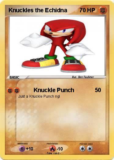 Pokemon Knuckles the Echidna