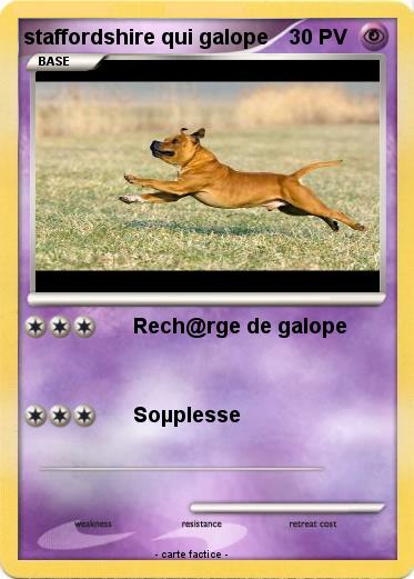Pokemon staffordshire qui galope