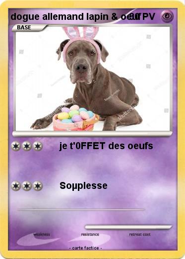 Pokemon dogue allemand lapin & oeuf