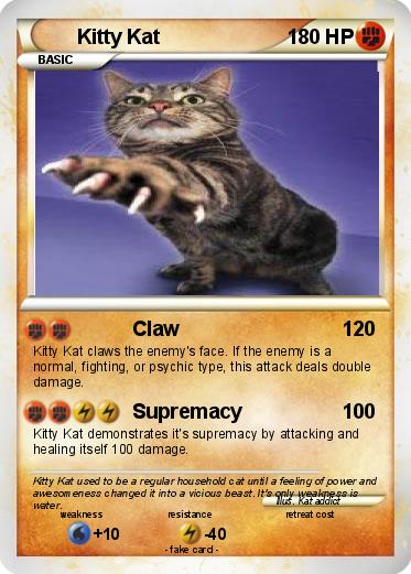 Pokemon Kitty Kat
