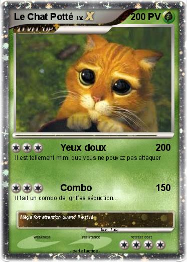 Pokemon Le Chat Potté