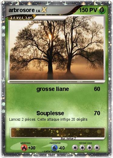 Pokemon arbrosore