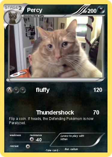 Pokemon Percy