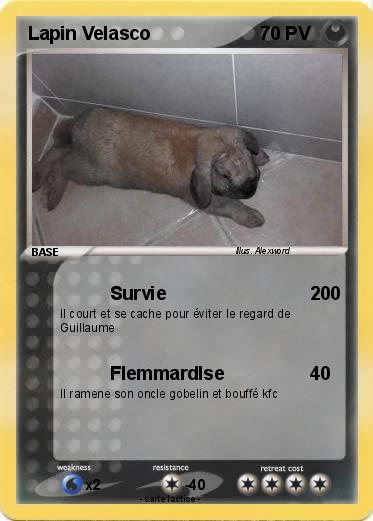 Pokemon Lapin Velasco