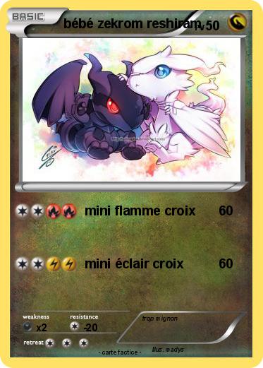 Pokemon bébé zekrom reshiram