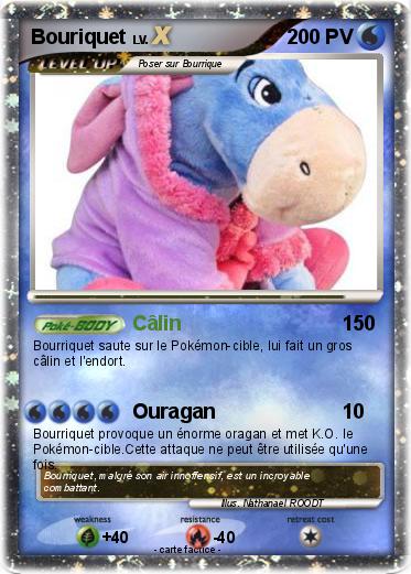 Pokemon Bouriquet