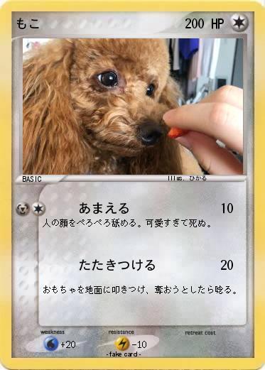 Pokemon もこ