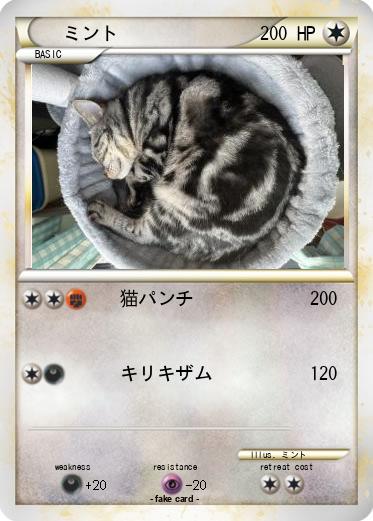 Pokemon ミント