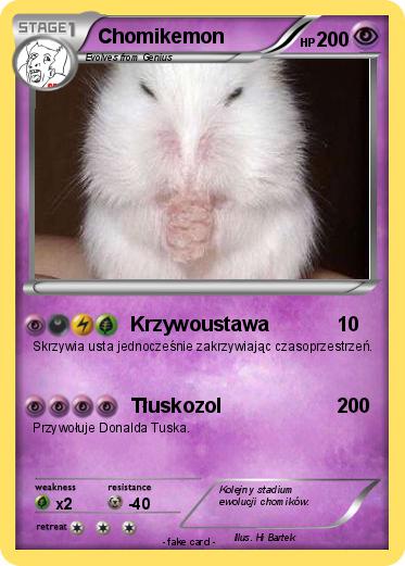 Pokemon Chomikemon