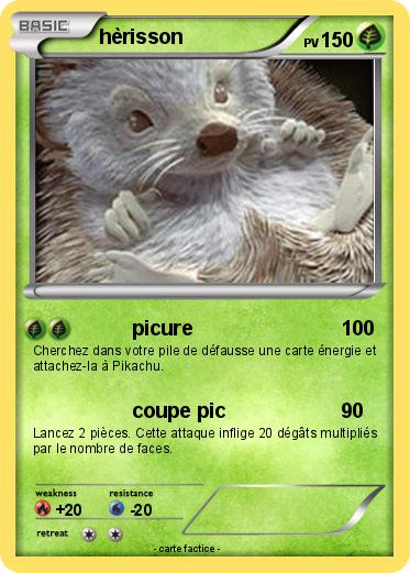 Pokemon hèrisson