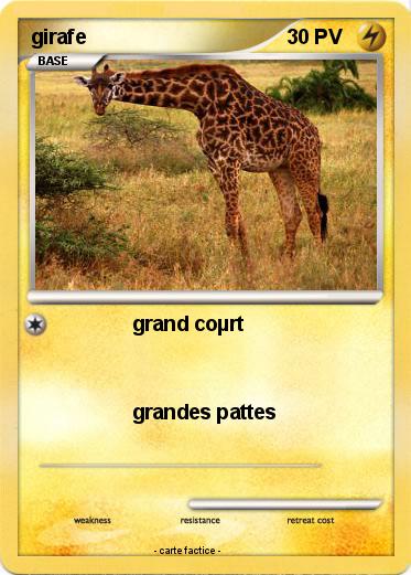 Pokemon girafe