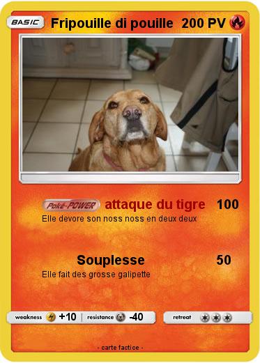 Pokemon Fripouille di pouille