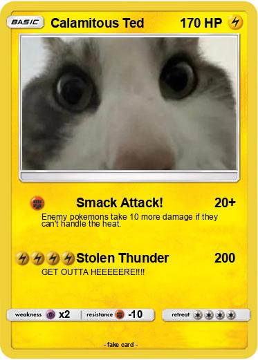 Pokemon Calamitous Ted