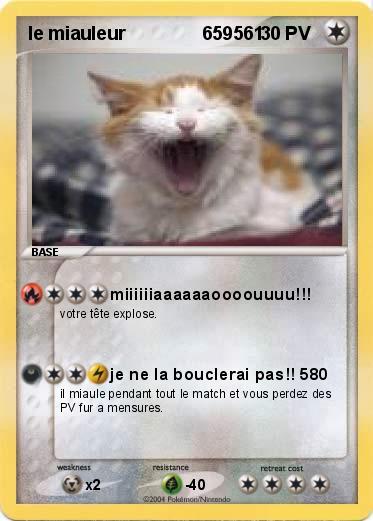 Pokemon le miauleur               659561