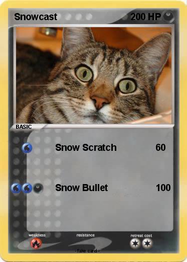 Pokemon Snowcast