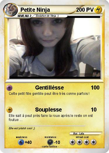 Pokemon Petite Ninja