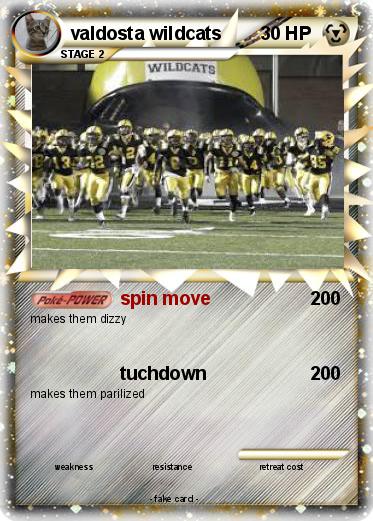 Pokemon valdosta wildcats
