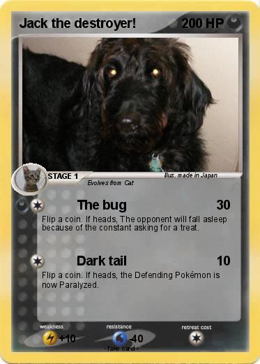 Pokemon Jack the destroyer!