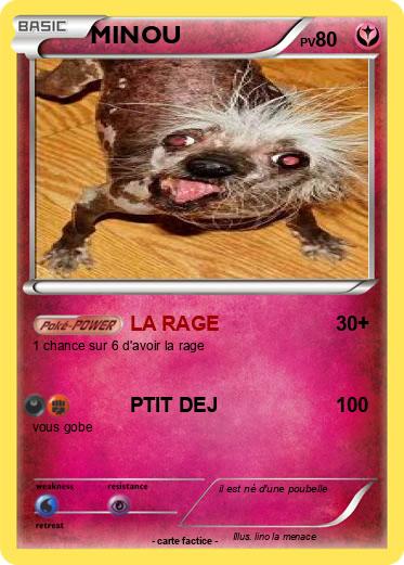 Pokemon MINOU