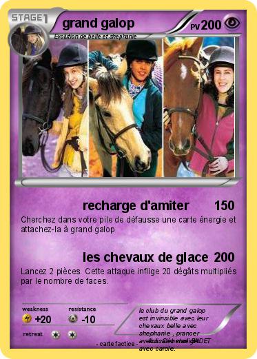 Pokemon grand galop