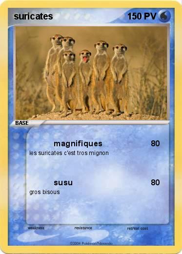 Pokemon suricates