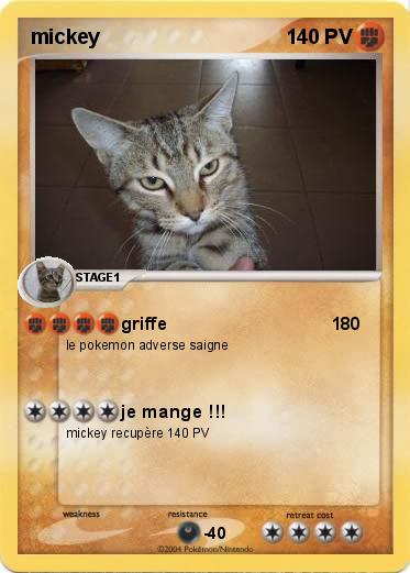 Pokemon mickey
