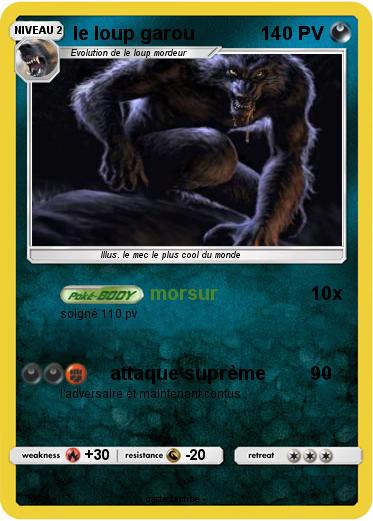 Pokemon le loup garou