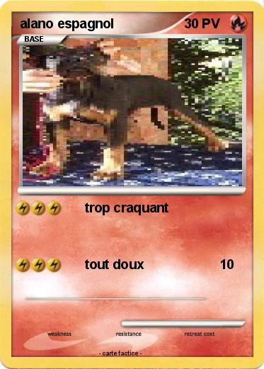 Pokemon alano espagnol