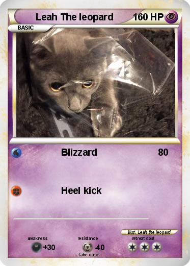 Pokemon Leah The leopard