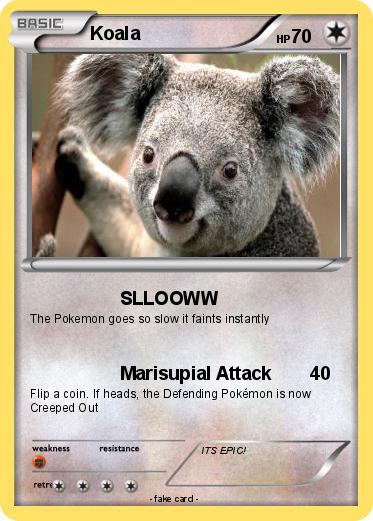 Pokemon Koala