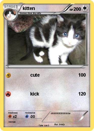 Pokemon kitten