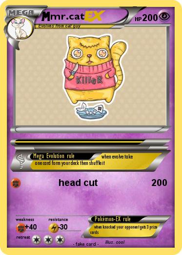Pokemon mr.cat
