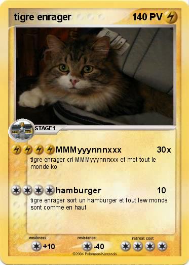 Pokemon tigre enrager