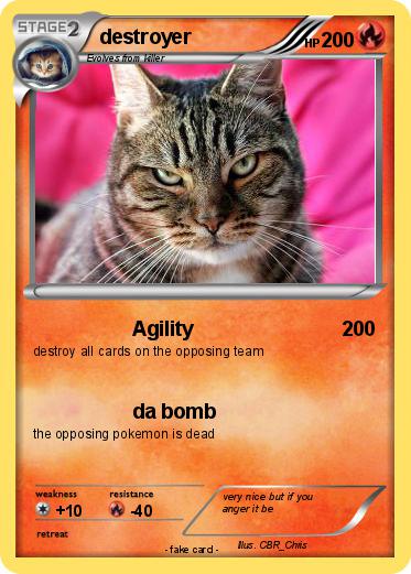 Pokemon destroyer
