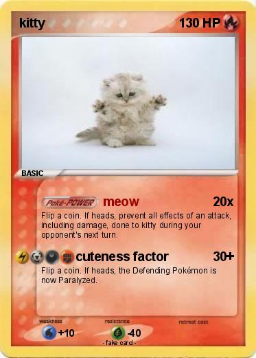 Pokemon kitty