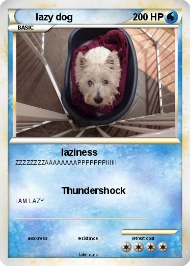 Pokemon lazy dog