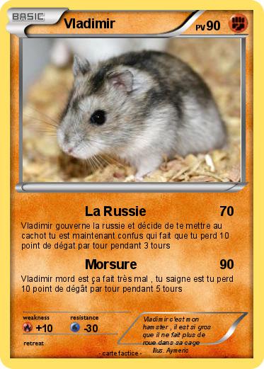 Pokemon Vladimir