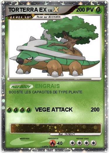 Pokemon TORTERRA EX