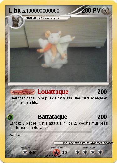 Pokemon Liba