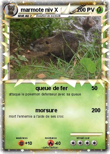 Pokemon marmote niv X
